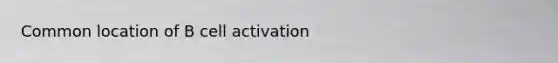 Common location of B cell activation