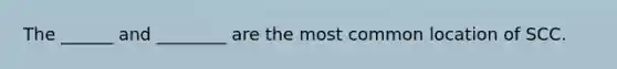 The ______ and ________ are the most common location of SCC.