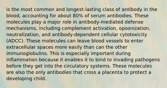 is the most common and longest-lasting class of antibody in the blood, accounting for about 80% of serum antibodies. These molecules play a major role in antibody-mediated defense mechanisms, including complement activation, opsonization, neutralization, and antibody-dependent cellular cytotoxicity (ADCC). These molecules can leave blood vessels to enter extracellular spaces more easily than can the other immunoglobulins. This is especially important during inflammation because it enables it to bind to invading pathogens before they get into the circulatory systems. These molecules are also the only antibodies that cross a placenta to protect a developing child.