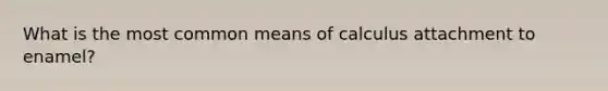 What is the most common means of calculus attachment to enamel?