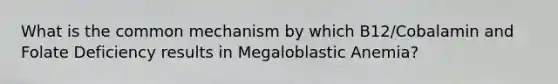 What is the common mechanism by which B12/Cobalamin and Folate Deficiency results in Megaloblastic Anemia?