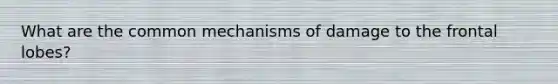 What are the common mechanisms of damage to the frontal lobes?