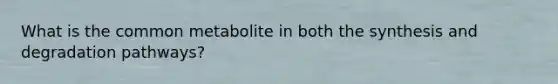What is the common metabolite in both the synthesis and degradation pathways?