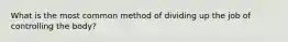 What is the most common method of dividing up the job of controlling the body?