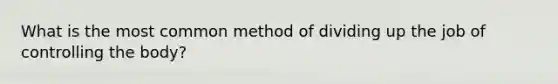 What is the most common method of dividing up the job of controlling the body?