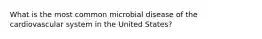 What is the most common microbial disease of the cardiovascular system in the United States?