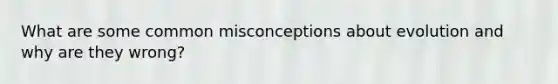 What are some common misconceptions about evolution and why are they wrong?