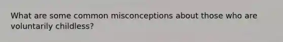 What are some common misconceptions about those who are voluntarily childless?