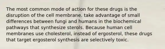 The most common mode of action for these drugs is the disruption of the cell membrane. take advantage of small differences between fungi and humans in the biochemical pathways that synthesize sterols. Because human cell membranes use cholesterol, instead of ergosterol, these drugs that target ergosterol synthesis are selectively toxic.