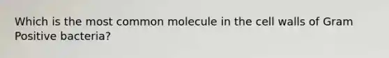 Which is the most common molecule in the cell walls of Gram Positive bacteria?