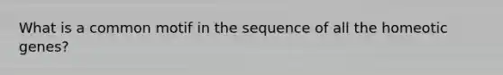 What is a common motif in the sequence of all the homeotic genes?