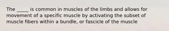 The _____ is common in muscles of the limbs and allows for movement of a specific muscle by activating the subset of muscle fibers within a bundle, or fascicle of the muscle