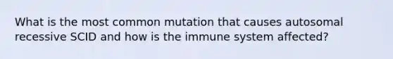 What is the most common mutation that causes autosomal recessive SCID and how is the immune system affected?