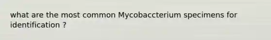 what are the most common Mycobaccterium specimens for identification ?