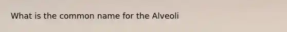 What is the common name for the Alveoli