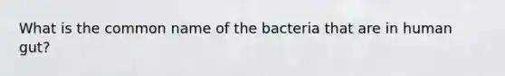 What is the common name of the bacteria that are in human gut?