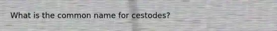 What is the common name for cestodes?