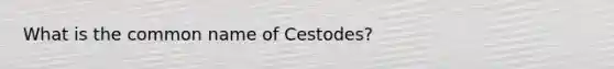 What is the common name of Cestodes?