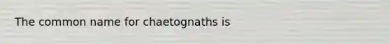 The common name for chaetognaths is