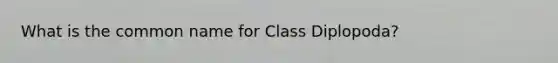 What is the common name for Class Diplopoda?