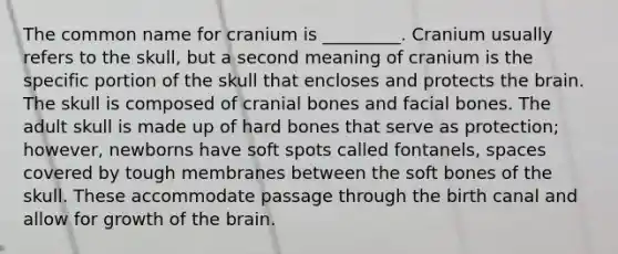 The common name for cranium is _________. Cranium usually refers to the skull, but a second meaning of cranium is the specific portion of the skull that encloses and protects the brain. The skull is composed of cranial bones and facial bones. The adult skull is made up of hard bones that serve as protection; however, newborns have soft spots called fontanels, spaces covered by tough membranes between the soft bones of the skull. These accommodate passage through the birth canal and allow for growth of the brain.