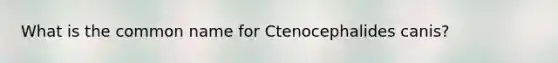 What is the common name for Ctenocephalides canis?