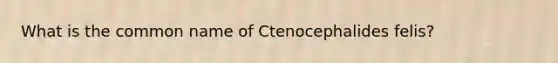 What is the common name of Ctenocephalides felis?