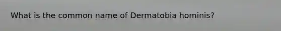 What is the common name of Dermatobia hominis?