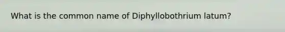 What is the common name of Diphyllobothrium latum?