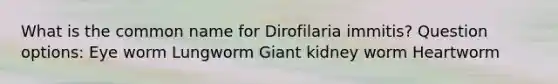 What is the common name for Dirofilaria immitis? Question options: Eye worm Lungworm Giant kidney worm Heartworm