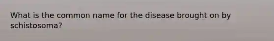 What is the common name for the disease brought on by schistosoma?