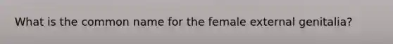 What is the common name for the female external genitalia?