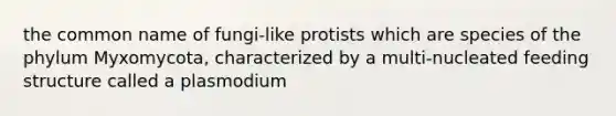 the common name of fungi-like protists which are species of the phylum Myxomycota, characterized by a multi-nucleated feeding structure called a plasmodium