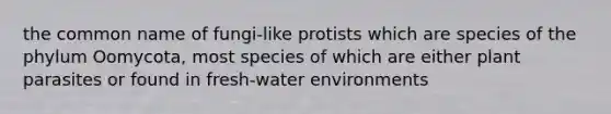 the common name of fungi-like protists which are species of the phylum Oomycota, most species of which are either plant parasites or found in fresh-water environments