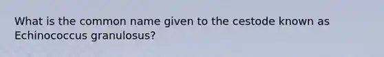 What is the common name given to the cestode known as Echinococcus granulosus?