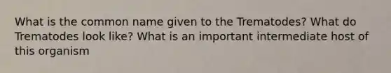 What is the common name given to the Trematodes? What do Trematodes look like? What is an important intermediate host of this organism