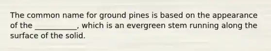 The common name for ground pines is based on the appearance of the ___________, which is an evergreen stem running along the surface of the solid.