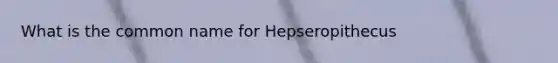 What is the common name for Hepseropithecus