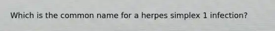 Which is the common name for a herpes simplex 1 infection?