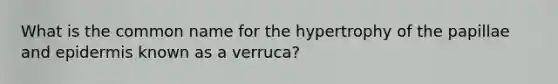 What is the common name for the hypertrophy of the papillae and epidermis known as a verruca?