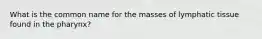 What is the common name for the masses of lymphatic tissue found in the pharynx?