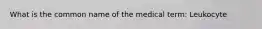 What is the common name of the medical term: Leukocyte