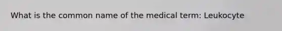 What is the common name of the medical term: Leukocyte