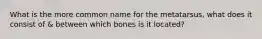 What is the more common name for the metatarsus, what does it consist of & between which bones is it located?