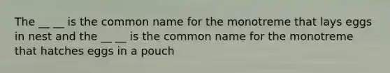 The __ __ is the common name for the monotreme that lays eggs in nest and the __ __ is the common name for the monotreme that hatches eggs in a pouch