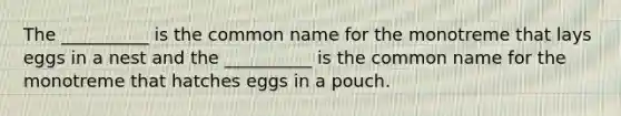 The __________ is the common name for the monotreme that lays eggs in a nest and the __________ is the common name for the monotreme that hatches eggs in a pouch.