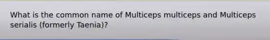 What is the common name of Multiceps multiceps and Multiceps serialis (formerly Taenia)?