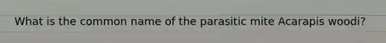 What is the common name of the parasitic mite Acarapis woodi?
