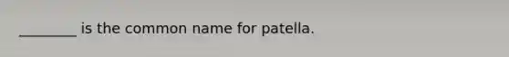 ________ is the common name for patella.