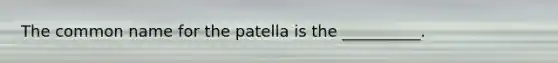 The common name for the patella is the __________.